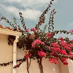 Lovely Old Town Appartement