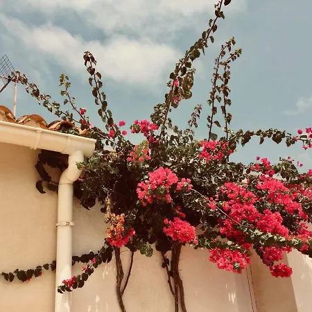 Lovely Old Town Apartamento