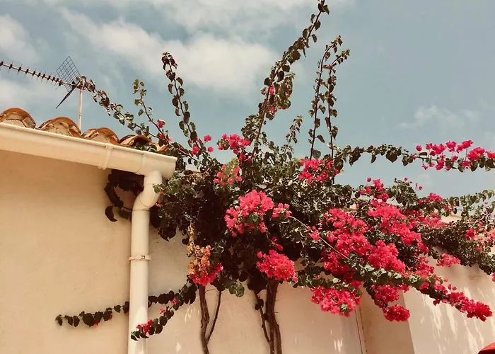 Lovely Old Town Lägenhet