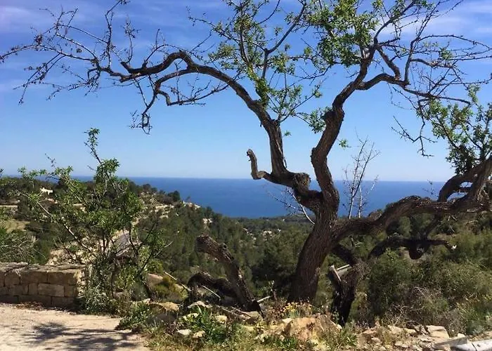 Lovely Old Town Lägenhet